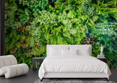 background of plastic plant on wall, vertical garden Wall mural