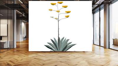 Flowers of the american Agave plant Wall mural