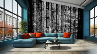 monochrome weathered background Wall mural