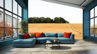 Minimal landscape of wheat field with trees Wall mural