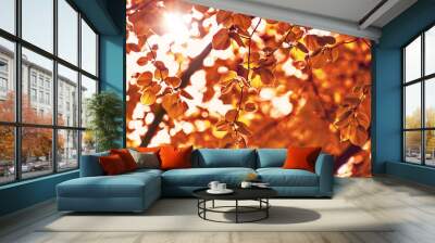 Herbst Wall mural