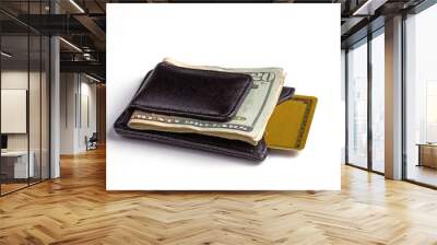 money clip & credit card Wall mural