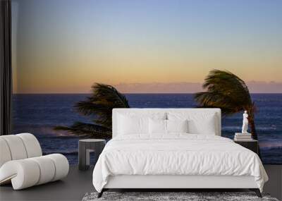 Two tropical palm trees blowing in the wind at sunset Wall mural