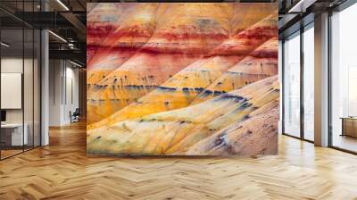 Painted Hills detail, John Day Fossil Beds National Monument, Oregon, USA Wall mural