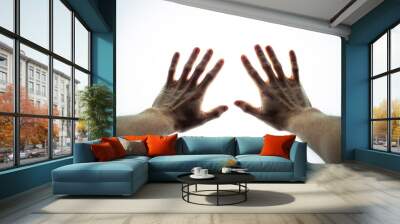 Outstretched Hands In the Light Wall mural