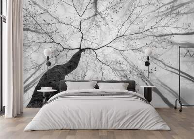 Spring tree crown Wall mural