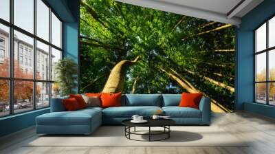 Summer forest Wall mural