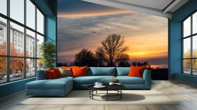 Spring Sunset 2 Wall mural