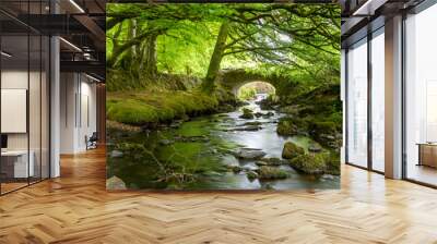 Robbers Bridge in Exmoor National Park Wall mural