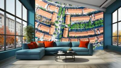 Aerial view of suburban houses Wall mural