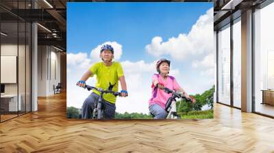 Asian healthy senior couple exercising with bicycles Wall mural