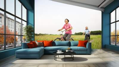 Happy Asian elderly seniors couple biking in the park with blue Wall mural