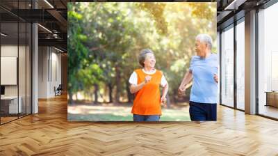 happy Senior couple running in the park Wall mural