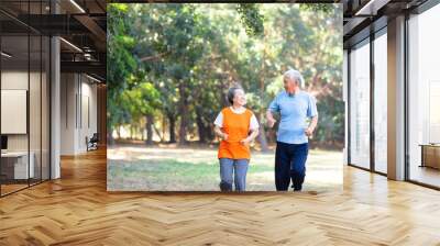 happy Senior couple running in the park Wall mural