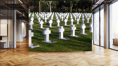 white crosses graveyard at Mortsel war cemetery near Antwerp in Belgium Wall mural