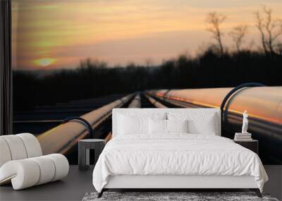 crude oil pipeline transportation way  on african continent Wall mural