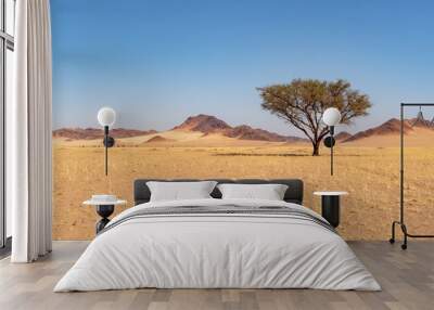 Desert landscape with acacia tree, , Namib-Naukluft national park, Namibia Wall mural