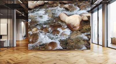 River in nature Wall mural