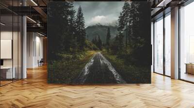 Road in the moody autumn forest, in Slovakia Wall mural