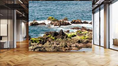 Waves breaking along the rocks in Tenerife, in the Canary Islands on a sunny day. Wall mural