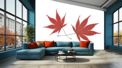 Two maple leaves on the white background Wall mural