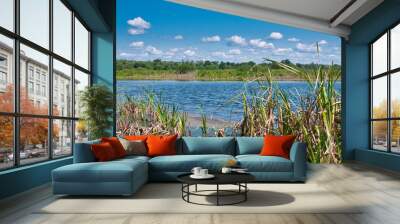 Bug river bed among green meadows in summer Wall mural