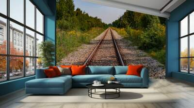 Old disused railway tracks running through the forest. Wall mural