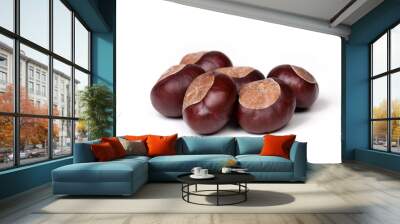 Small pile of fresh chestnuts, many conkers isolated on white background, closeup Wall mural