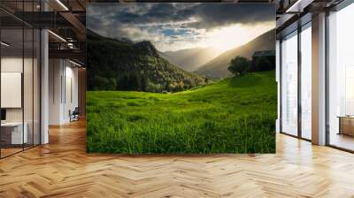 sunset in the mountains Wall mural