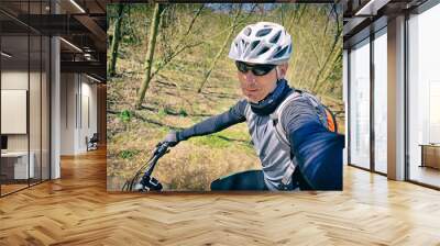 A man on a bicycle. Wall mural