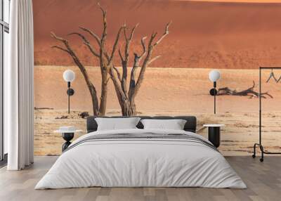 Deadvlei, white clay pan located inside the Namib-Naukluft Park in Namibia.Africa. Wall mural