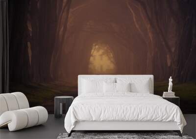 ambitious photographer Wall mural