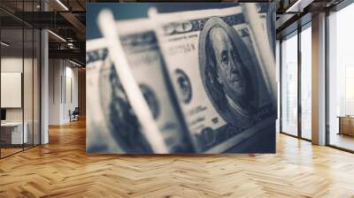 American Dollars in Focus Wall mural