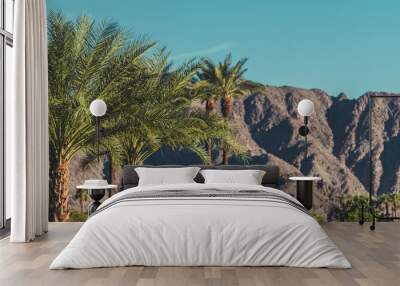 California Coachella Valley Landscape Wall mural