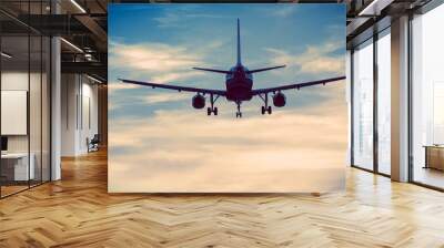 Commercial Airplanes Wall mural