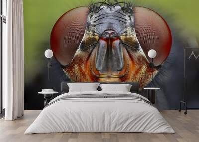 An extreme close up of a fly head Wall mural