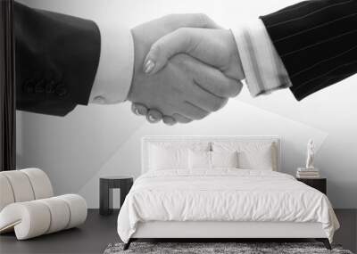 business handshake over page with pen, b&w Wall mural