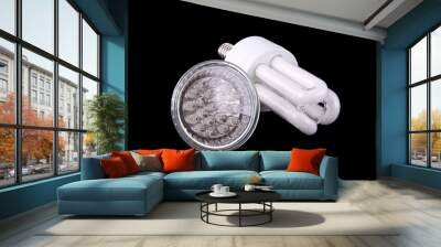 two energy efficient bulbs on black background Wall mural