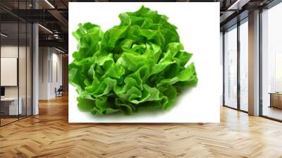 butterhead lettuce 2 Wall mural