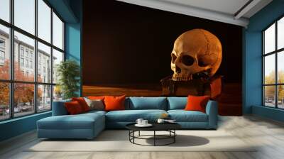 Human skull and old book over old wooden table and dark background. Wall mural