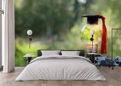 light bulb and graduation cap nature. Idea of education, technology Wall mural