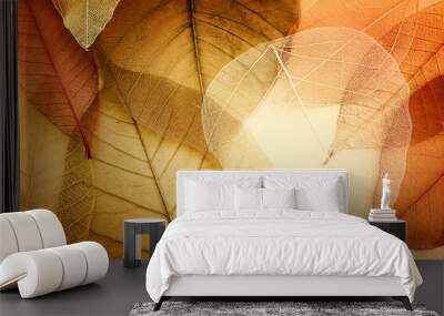 Transparent and delicate leaves over old background Wall mural