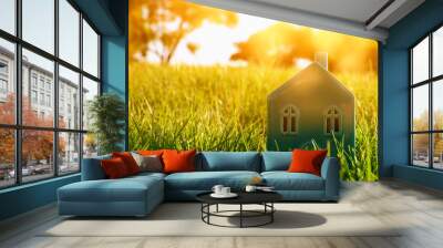 vintage house in the grass, garden or park at sunset light Wall mural