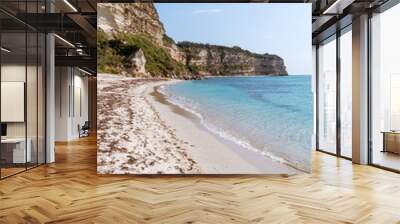 Beautiful empty sandy beach and turquoise sea Wall mural