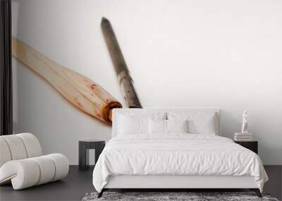 two calligraphy pens on white Wall mural