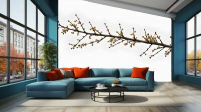 Branch Isolated on White Background Wall mural