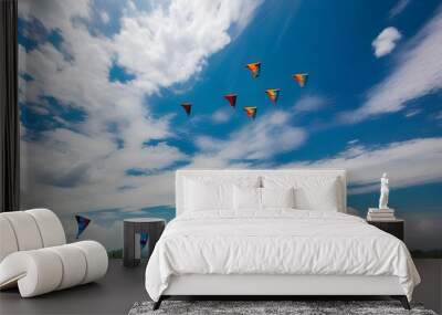 Colorful kite isolated on white background Wall mural