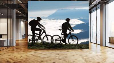 two mountainbikers Wall mural