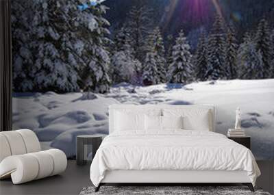 winter in alpine valley Wall mural