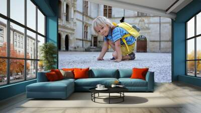 Child, toddler boy, playing in backyard, sitting and smiling Wall mural